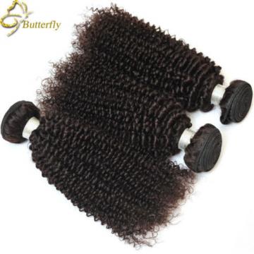 Brazilian Curly Virgin Hair 4Bundles 200g Afro Kinky Curly Human Hair Weave Weft