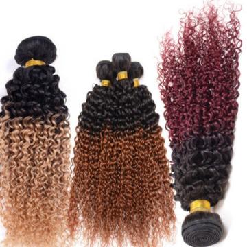 Unprocessed Brazilian Ombre Color Kinky Curl Peruvian Indian Virgin Human Hair