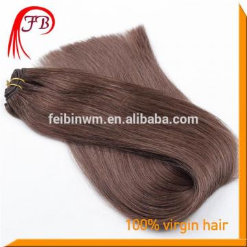 Unprocessed Human Virgin Straight Hair Weft Brazilian Hair Color #2