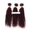 4Bundles Brazilian Virgin Weave Human Hair Extension Kinky Curl Color 99j 7A