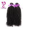 7A Kinky Curly  Virgin Brazilian Human Hair Extensions Weave 200g/2 Bundles #2 small image