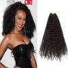 1 Bundles Virgin 100% Brazilian Kinky Curly Hair Weave Human Hair Extension Weft