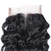 3 Bundles 100% Brazilian Virgin Human Hair Deep Curly Wave And Lace Closure 4*4 #5 small image