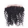 13&#034;x4 Lace Frontal with 3 Bundles 7A Brazilian Curly Virgin Human Hair Weft 300g #3 small image