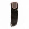 Virgin Brazilian Human Hair Straight Lace Closure Top Natural Center Part 10&#034; #1 small image
