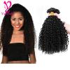 400g/4 Bundles 7A Kinky Curly Virgin Brazilian Human Hair Weft Extensions #1 small image