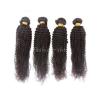 Brazilian Virgin Remy hair Curly Wavy  Human Hair Weave Extensions 150g 3Bundles #5 small image