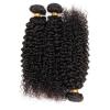 Virgin 100% Brazilian Kinky Curly Hair Weave Human Hair Extension 3 Bundle 12*3
