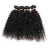 4 bundles Peruvian Virgin Remy Hair kinky curly Human Hair Weave Extensions 200g #1 small image