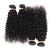 4 bundles Peruvian Virgin Remy Hair kinky curly Human Hair Weave Extensions 200g #2 small image