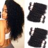 Unprocessed Peruvian 7A Kinky Curly Virgin Hair Human Hair Extensions 200g/4PCS #1 small image