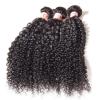 3PCS/300g Unprocessed Peruvian 7A Curly Virgin Hair Human Hair Extensions #1 small image