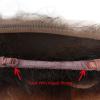 Peruvian Virgin Human Hair 360 Lace Frontal Closure Ombre 1b/30# Lace Closure
