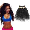 3 Bundles Kinky Curly Peruvian Virgin Hair Extensions Weft Human Hair Weave lot #1 small image