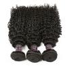3Bundles Peruvian Virgin Hair Kinky Curly Hair Weft 100% Unprocessed Human Hair