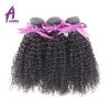 Peruvian Virgin Human Hair Extensions Weave Kinky Curly Hair 3 Bundles 300g #5 small image