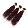 Top Grade Hair Products Peruvian Hair 3 Bundles Curl Human Hair Extensions #3 small image