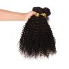 3 Bundles Kinky Curly Peruvian Virgin Hair Extensions Weft Human Hair Weave lot #2 small image