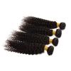3 Bundles Kinky Curly Peruvian Virgin Hair Extensions Weft Human Hair Weave lot #3 small image