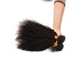3 Bundles Kinky Curly Peruvian Virgin Hair Extensions Weft Human Hair Weave lot #4 small image