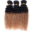 3Bundles/300g Peruvian Kinky Curl Virgin Hair Weft Ombre Color Human Hair Weaves #1 small image