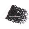 Virgin Human Hair Lace Frontal Closures Peruvian Remy Hair Extensions Water Wave #5 small image