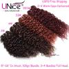 Peruvian Curly Human Hair 3 Bundles 2#4#33#99J# UNice 8A Virgin Hair Extensions #1 small image