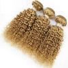 Luxury Peruvian Honey Blonde #27 Kinky Deep Curly Virgin Human Hair Extensions #2 small image