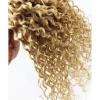 Luxury Peruvian Honey Blonde #27 Kinky Deep Curly Virgin Human Hair Extensions #3 small image