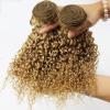 Luxury Peruvian Honey Blonde #27 Kinky Deep Curly Virgin Human Hair Extensions