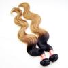 4 Bundles/200g Peruvian Virgin Body Wave Ombre Human Hair Extensions Weave Weft #2 small image