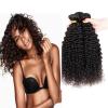 3 Bundles Kinky Curly Peruvian Virgin Hair Extensions Weft Human Hair Weave lot #1 small image