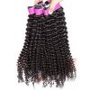 Luxury Kinky Curly Peruvian Virgin Human Hair Extensions 7A Weave Weft #2 small image