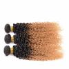 100g Ombré Color T1B/27 Virgin Peruvian Kinky Curkly Human Hair Weave 1pc 20inch #1 small image