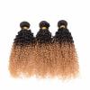 100g Ombré Color T1B/27 Virgin Peruvian Kinky Curkly Human Hair Weave 1pc 20inch #2 small image
