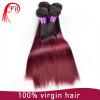 high quality wholesale price ombre color hair silky straight virgin brazilian hair extension