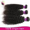 remy human hair kinky curly wholesale unprocessed malaysia hair