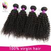 virgin malaysia hair kinky curly hair extension bundles