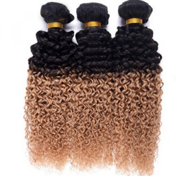 3Bundles/300g Peruvian Kinky Curl Virgin Hair Weft Ombre Color Human Hair Weaves #1 image