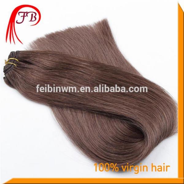 Unprocessed Human Virgin Straight Hair Weft Brazilian Hair Color #2 #4 image