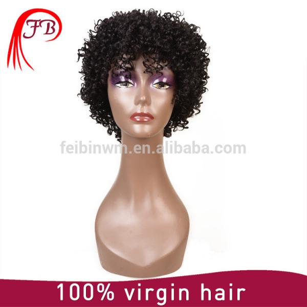 Brazilian Virgin Human Hair Full Lace Short Afro Wigs For Black Women #1 image