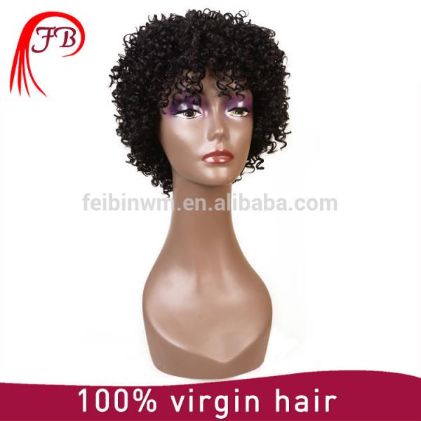 Brazilian Virgin Human Hair Full Lace Short Afro Wigs For Black Women #2 image