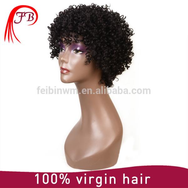 Brazilian Virgin Human Hair Full Lace Short Afro Wigs For Black Women #5 image