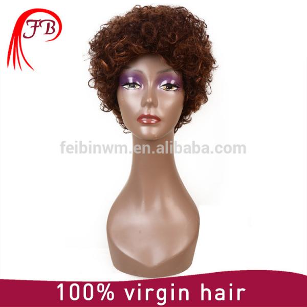 Best Selling Human Hair wig Grade 7A 100% short Curl Full Lace Wig For Black Woman #4 image