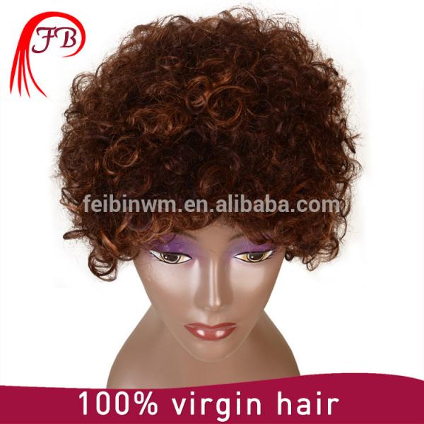 Brazilian virgin hair full lace human hair wig,kinky human hair wig #3 image