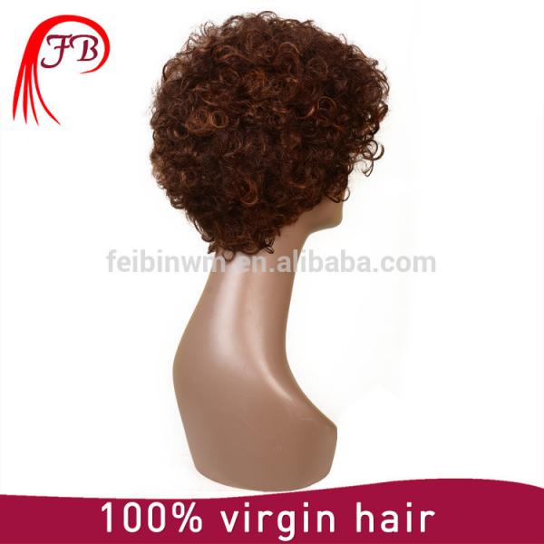 Brazilian virgin hair full lace human hair wig,kinky human hair wig #4 image