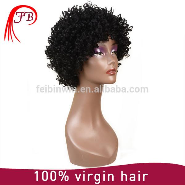 Fashion And Classic Cheap Short Curly full lace Human Hair Wigs For Black Women #3 image