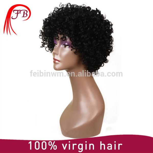 Fashion And Classic Cheap Short Curly full lace Human Hair Wigs For Black Women #5 image