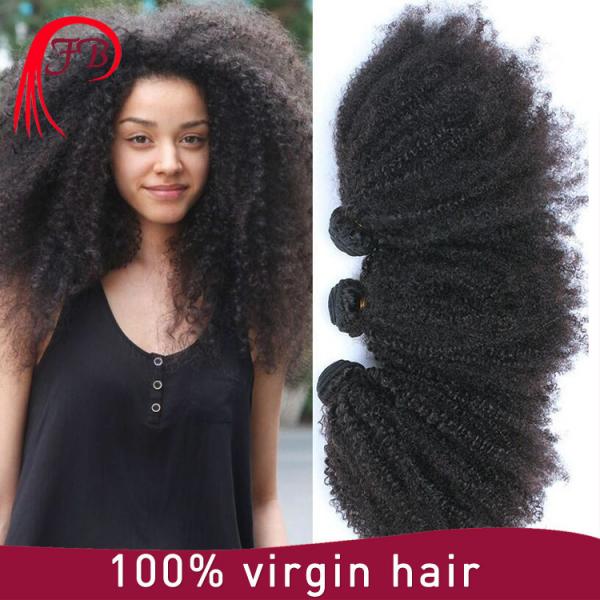 Wholesale remy natural curly virgin human hair wigs for black women #1 image