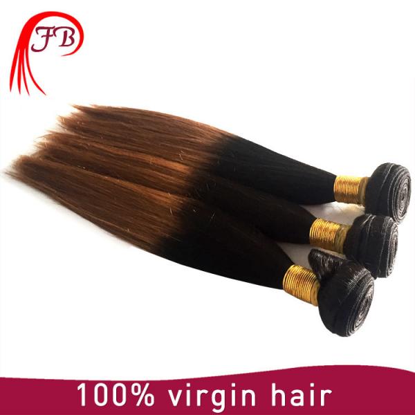 hair extension 8&quot;-30&quot;inches 2017 New arrival human hair 1b 30 ombre color #5 image